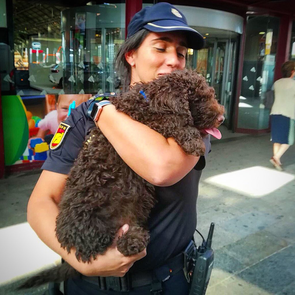 policia's tweet photo. ¡¡Feliz #SanAntón a todos nuestros agentes caninos y equinos🐕🐎!! Sois nuestros mejores compañeros. We 💞 #Animals https://t.co/gysqeKkr78