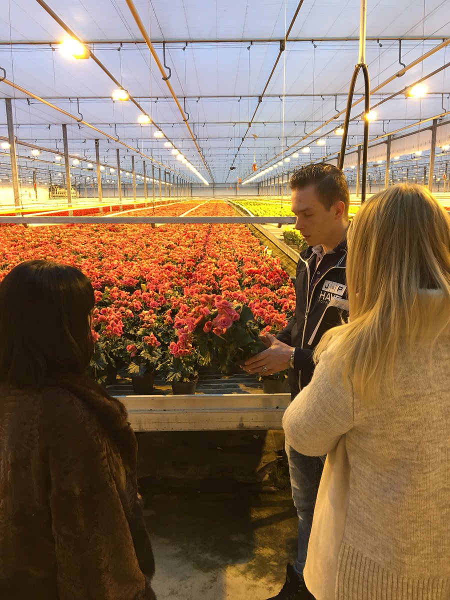 Kweker tourtje met Limflor