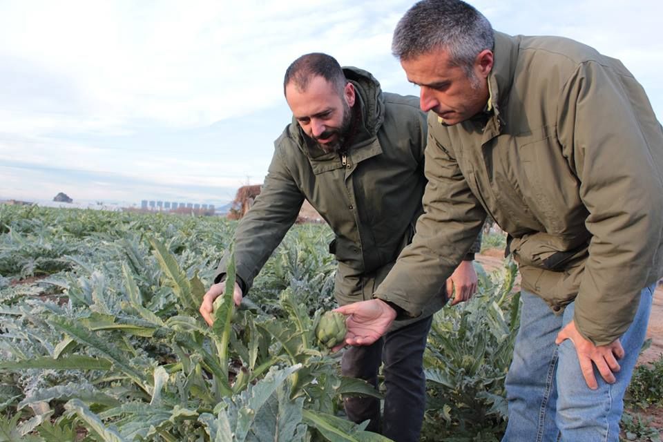 Tot un luxe poder comprar i cuinar amb #productedeproximitat. Nosaltres el comprem directament dels pagesos de la #cooperativaAgrariaSantBoi <a href="/TurismeBaixLlob/">TurismeBaixLlobregat</a> #ParcAgrariBaixLlobregat 
De l'hort a la taula del #Marimorena