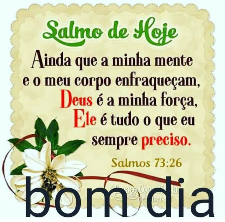 SANDROMENDESAFO's tweet image. 