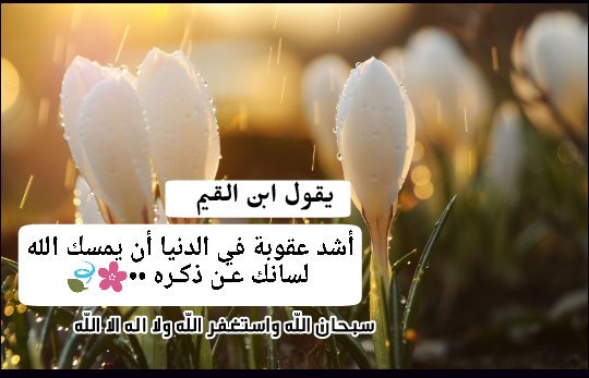 aasmalmoliky's tweet photo. https://t.co/N7oDPatbC2
