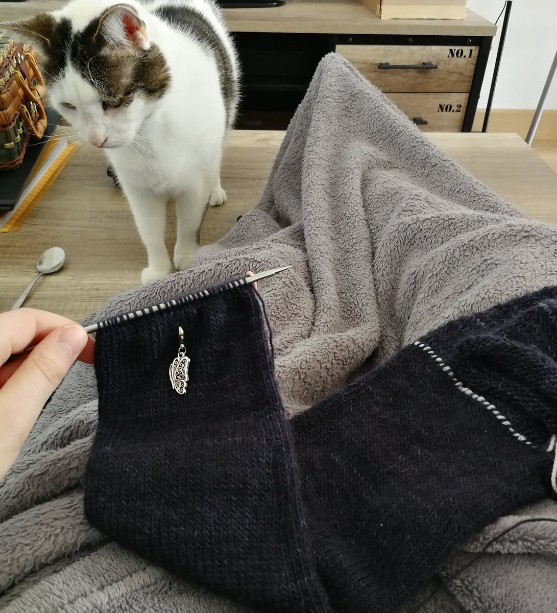 La première manche avance bien et intrigue le chat ! 😊

#tricot #knitting #diy #magicloop
