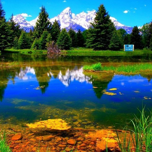 sharpjock's tweet image. Get out and enjoy nature. Good for your mind and body. #whereswaldo #wheresthesoap #natural ift.tt/2FM2BYs