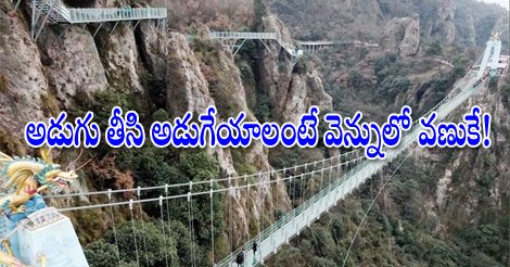 SakshiNews's tweet photo. అడుగు తీసి అడుగేయాలంటే వెన్నులో వణుకే!
https://t.co/HCRcikyOXx
#China #Glassbridges #tourists https://t.co/Tcyx5Qcyeq