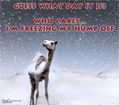 PEOutsourcePros's tweet photo. Happy Wednesday everyone. Hope everyone made it to work safely. #snowday2018 #snowhumpday #iceinhouston https://t.co/UXRTQqaVUv