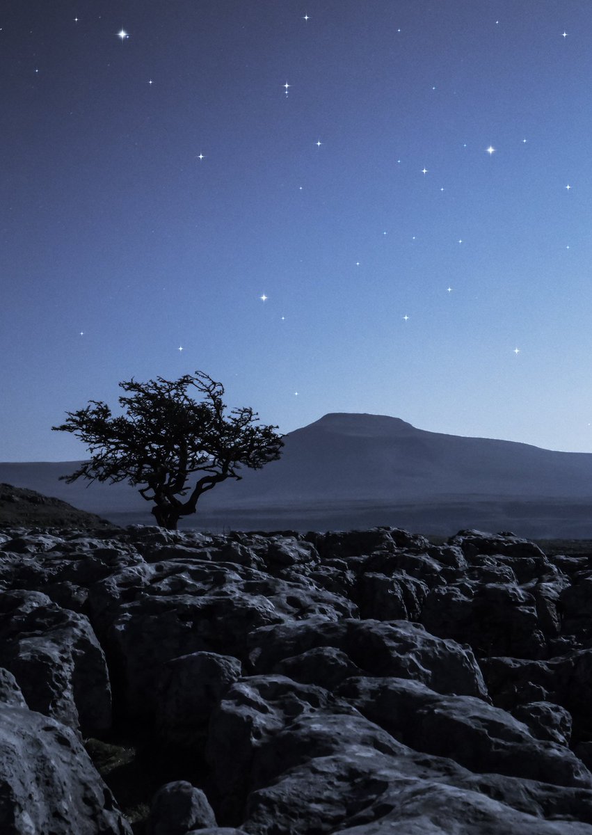 diamondskies99's tweet image. More of my #YorkshireDales #Nightsky greetings cards on their way to gift shops around the Dales. Excellent service and quality from @DCSPrint