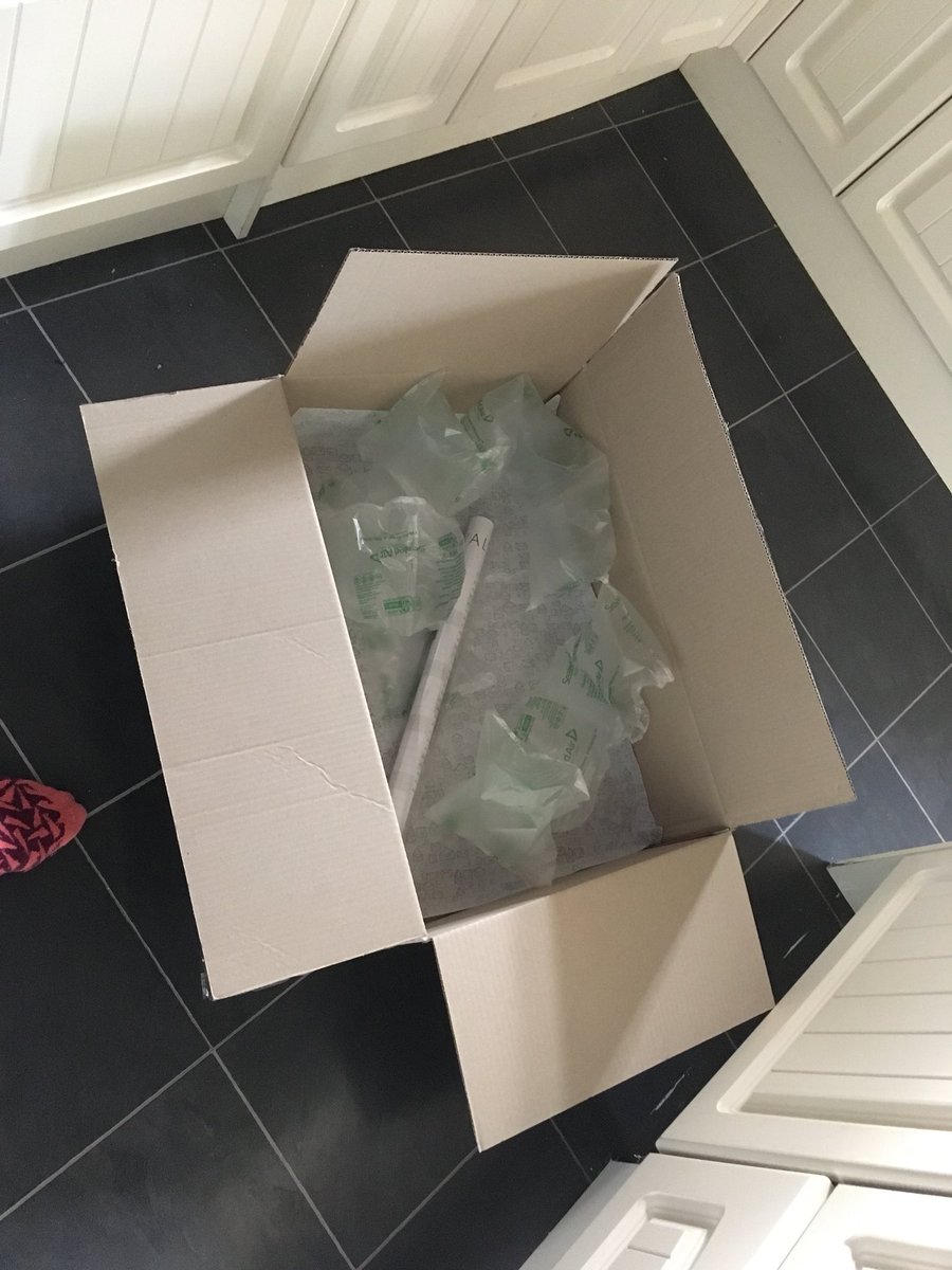 Poppy Naylor tweet media