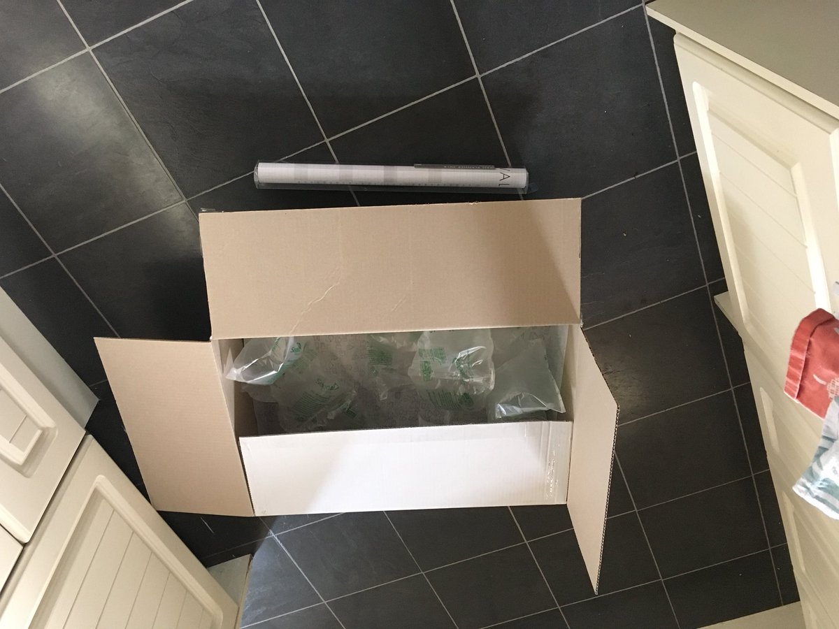 Poppy Naylor tweet media