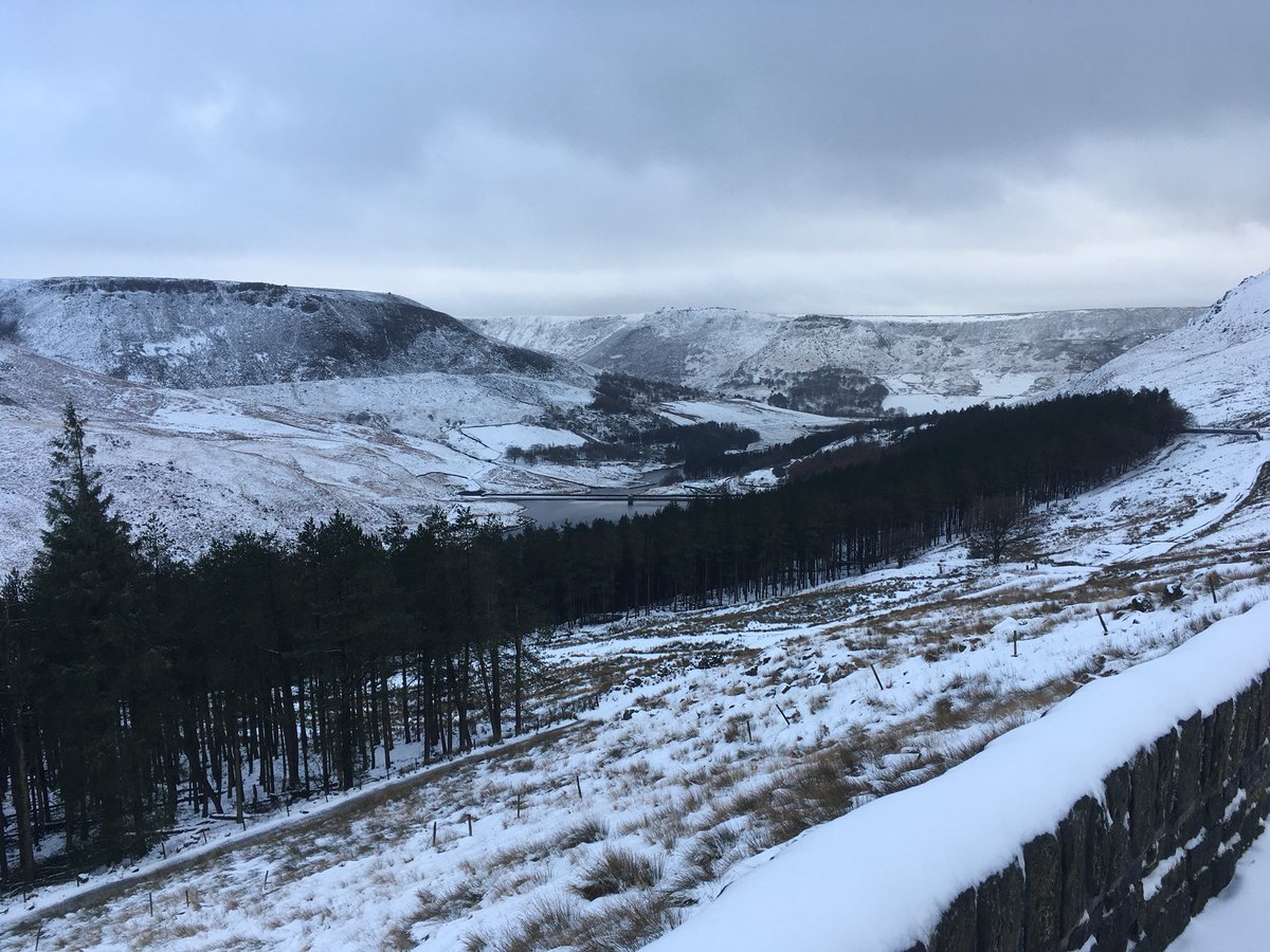 houndtrail's tweet image. No shooting today #snowedoff #trackingtime