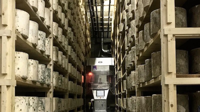 We recently sent several of our intrepid team on an expedition to two cheesemaking friends here in the west country. Here's what they had to say:
bit.ly/2DdzHi6