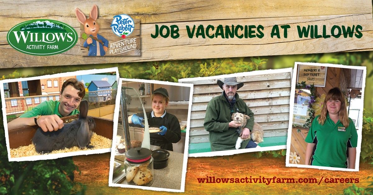 Willows ActivityFarm on Twitter "Would you like to work at Willows