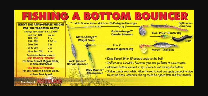 yearmillion on twitter quot bitcoin i call the bottom crawler harness depth chart