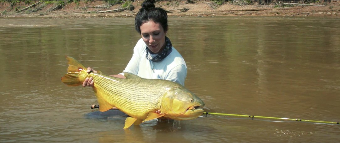 TsimaneLodges's tweet photo. All about us: https://t.co/5ISeIMc60W
#flyfilmfest #flyfusionmag #Swiftflyfishing #Epicflyrods #Tsimane #fishing #ANGLER #FlyFishing #Angling #BUCKETLIST #TsimaneLodge https://t.co/z4FC17BYcb