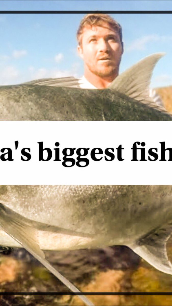PhilikyFishing's tweet photo. Watch here https://t.co/9ywhwXZrfR #fishing #GT #morningtide #australia #bigbig #bigfish https://t.co/Wh79kT0LI3