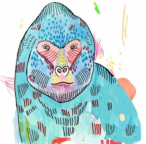 Valentinastweet's tweet photo. Preciosas ilustraciones de animales de la mano de 
@BelenSegarra 🦅🦍🐯 https://t.co/T8bI0CA2d6