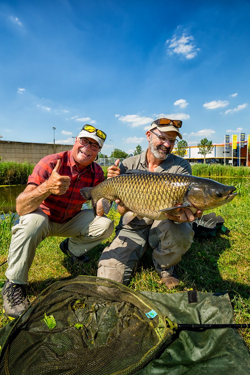 VisTV's tweet photo. Duimen omhoog voor deze Zwolse graskarper. Morgen weer een VIS TV avontuur om 9.30 uur op @rtl7 @Marco_Kraal #vistv #zwolle #graskarper https://t.co/fsfnyqGz9Q