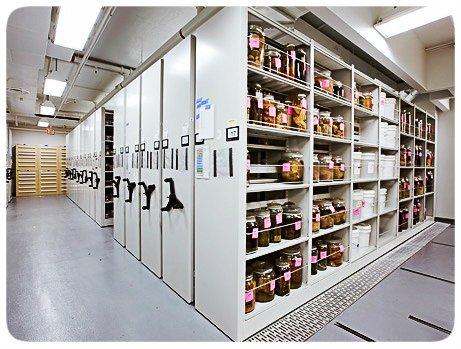 imperialstorage's tweet image. Don't get caught in the cold! It is time to purchase an #InventoryStorageGarage unit at #ImperialRVStorageUOwn today. Take back your #Garage at home and keep your other inventories safe and warm this winter. goo.gl/yrfSAL #GarageCondo #StorageUnit #BusinessStorageGarage