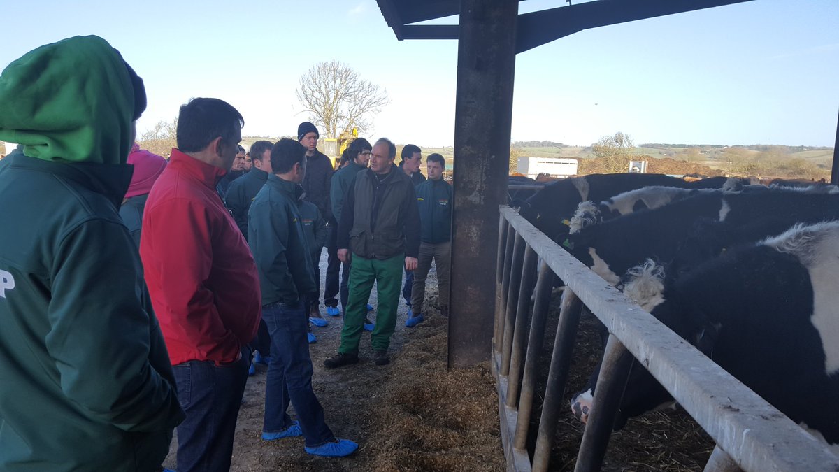 Second farm of the day. Suckler and store finishing. Outdoor pens, straw and diet feeders keep questions coming from the YBFSP participants <a href="/dawnmeatsgroup/">Dawn Meats</a> <a href="/MacranaFeirme/">Macra na Feirme</a> <a href="/DunbiaGroup/">Dunbia Group</a>