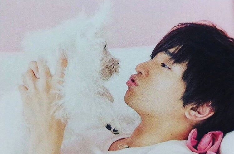 Lily_sz0313's tweet photo. 健人くんの誕生日までに313RT＆313いいねを目指します🙈✨ご協力よろしくお願いします🙌🏻
 #中島健人くん生誕祭
#リツイート＆いいねお願いします 
#誕生日までに313RTめざします https://t.co/13NEciGrv0