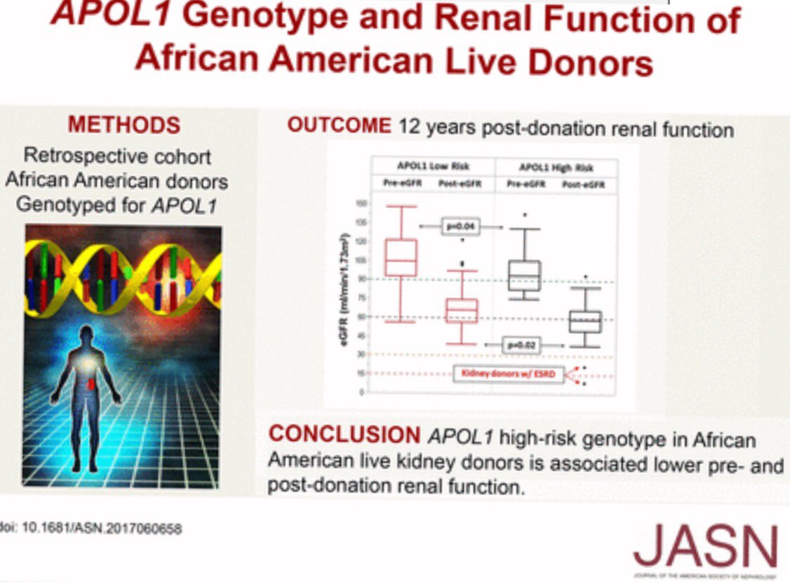 ASPNeph's tweet photo. APOL1 Genotype and Renal Function of Black Living Donors https://t.co/1ucdxzdCar @JASN_News https://t.co/zG502lGz5A