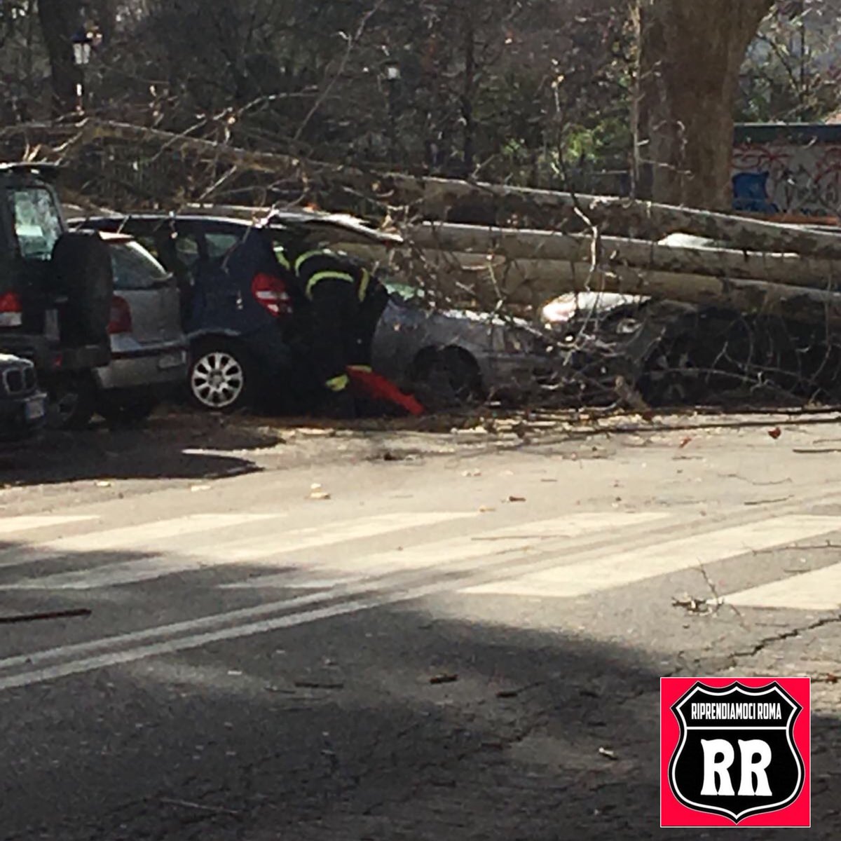 Crollo albero grosso fusto a Viale Aventino.Colpite due auto in transito e auto parcheggiate. Nelle foto notate: totale assenza di radici dell’albero e vigili del fuoco impegnati ad estrarre cittadini dalle auto. Roma è caso nazionale. Un ferito.Segue video. @valentinalupia