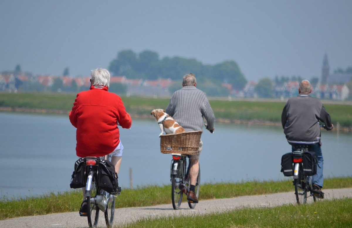Hans Struijk Fietsen tweet media