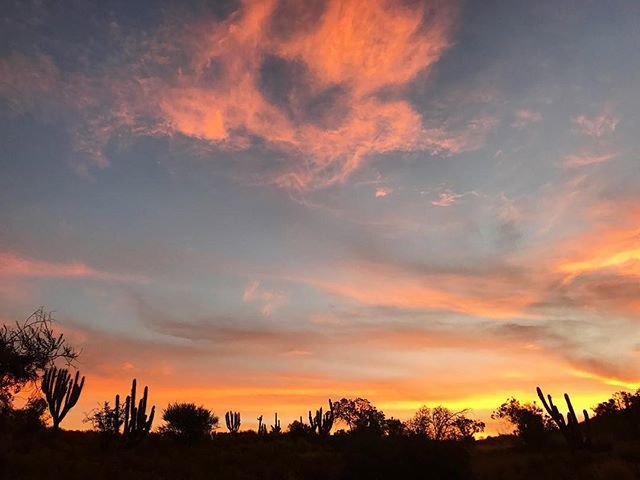 truthbriantruth's tweet photo. Reposting @anadurruty: - via @Crowdfire
Así son los atardeceres en e #limarí 😌So are the #sunsets in the #limarivalley #valledellimari https://t.co/ilJzrCJHPM
