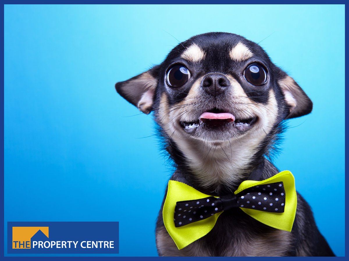 thepropertycent's tweet photo. As Gloucester’s Top-Selling Agent, we sell 1 in every 3 properties on the market and are committed to getting the very best price for all our vendors. If you're thinking of selling, contact our team to arrange your free valuation https://t.co/D3DUZ4LWq0 https://t.co/kp55sb8F4y