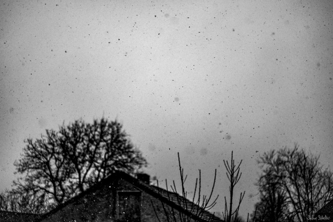 Gestern alles für ne längere MTB-Runde vorbereitet. Und heute Schnee. Das zu meinem Plan... Noch zu viel Kopf bei nass-glatt-schmierig. Vergeht aber hoffentlich auch schnell wieder... #photography #documentary #snow #fujixe3 #zeiss35mm