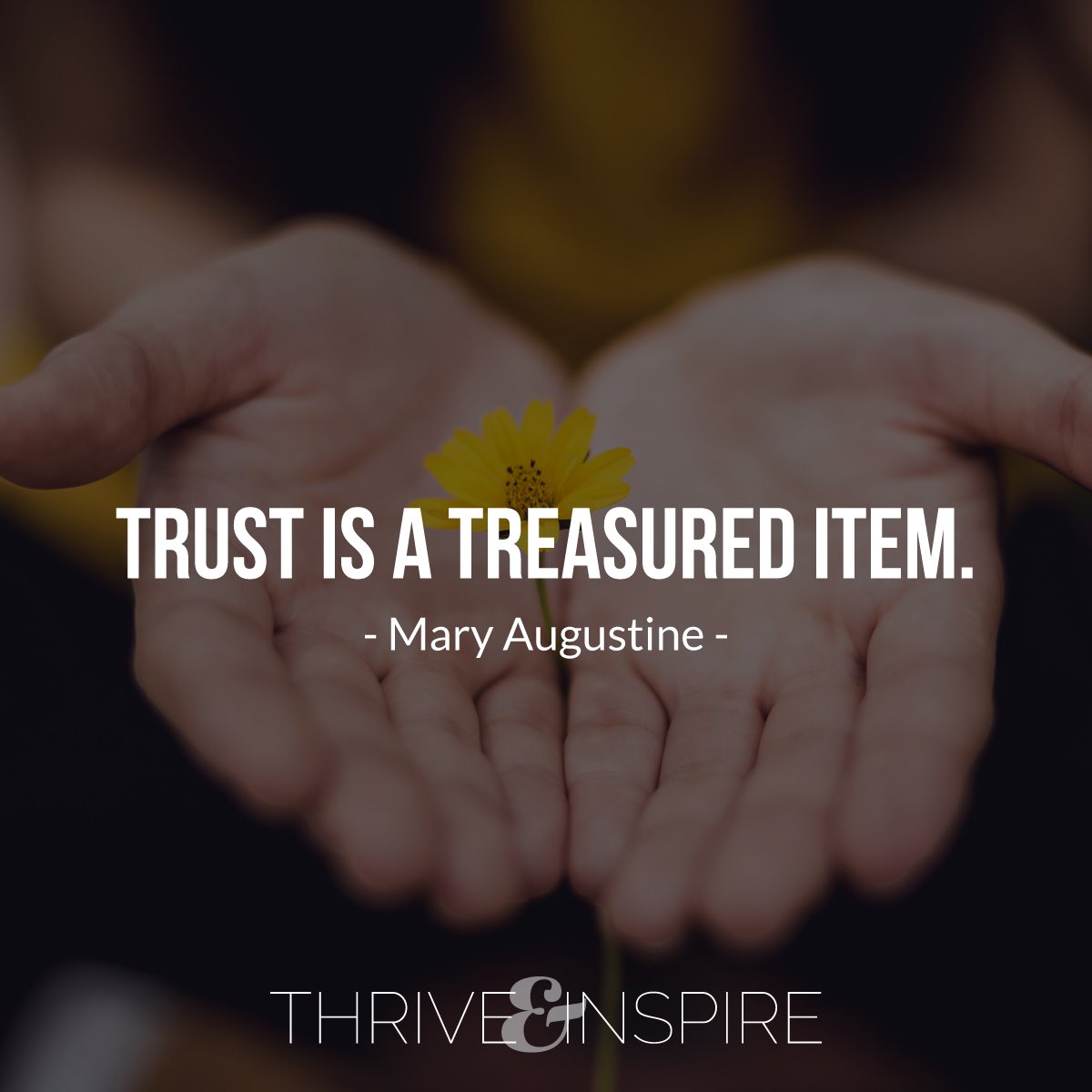 tomweberfreedom's tweet photo. Trust is a treasured item. 
- Mary Augustine - 
Quotes to thrive by! #trust #Entrepreneurship https://t.co/lcsz4IoHFC