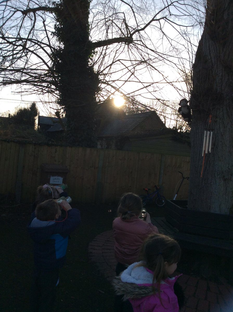 Hedgehogs on a safari hunt this afternoon. They made their own binoculars