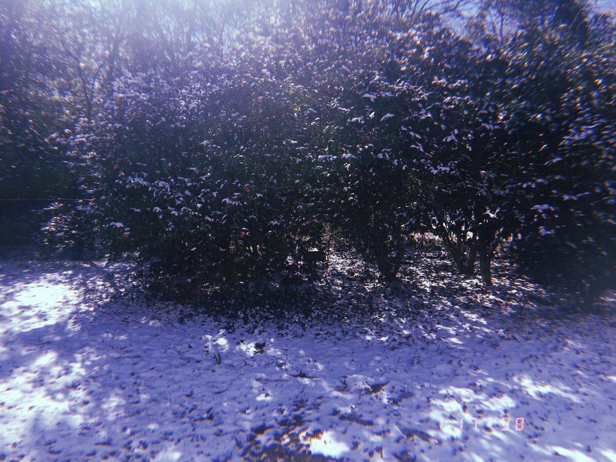 Universalxjacob's tweet image. It’s a snow day