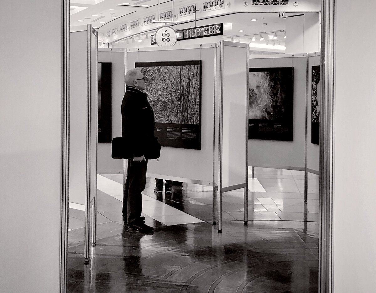 Fotoausstellung „Fantastische Natur“ Berlin im <a href="/schlosssteglitz/">das Schloss</a> 📷📸🎞 #Berlin #Steglitz #Kunst
@TspZehlendorf