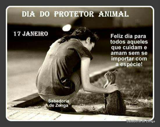 Iolanda Arruda (@iolanda_arruda1) on Twitter photo 