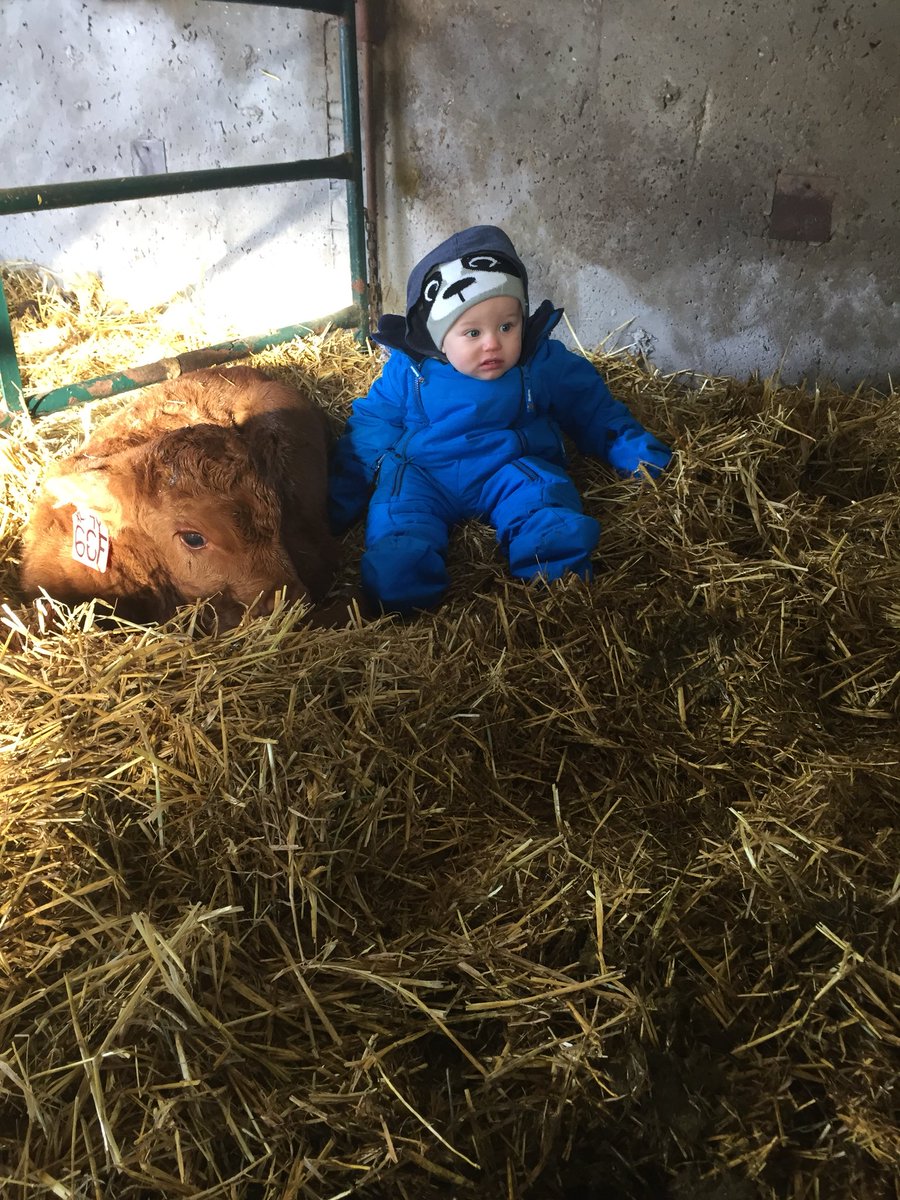 Best help on the Farm