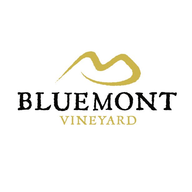 Cheers to a New Year &amp; New look! 🥂 #NewProfilePic #newlogo #newlook