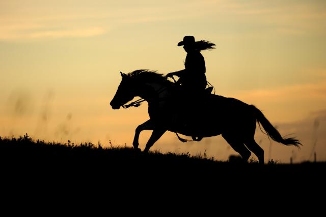 CHdestinationA's tweet photo. A6 - to ride through the #CypressHills on horseback with @reesorranch is also an experience NOT to be missed! #CanadaChat #ExploreSask @ExploreCanada #CanadianSignatureExperience https://t.co/qVIeRaQi5q
