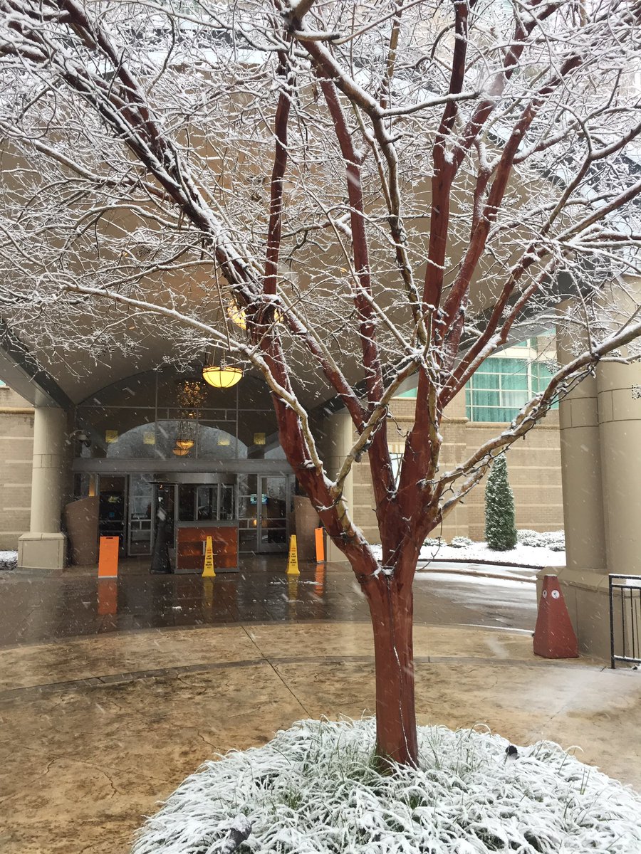 SNOW IN CHARLOTTE!!! Come in from the cold and warm up with our French Onion soup 🍵