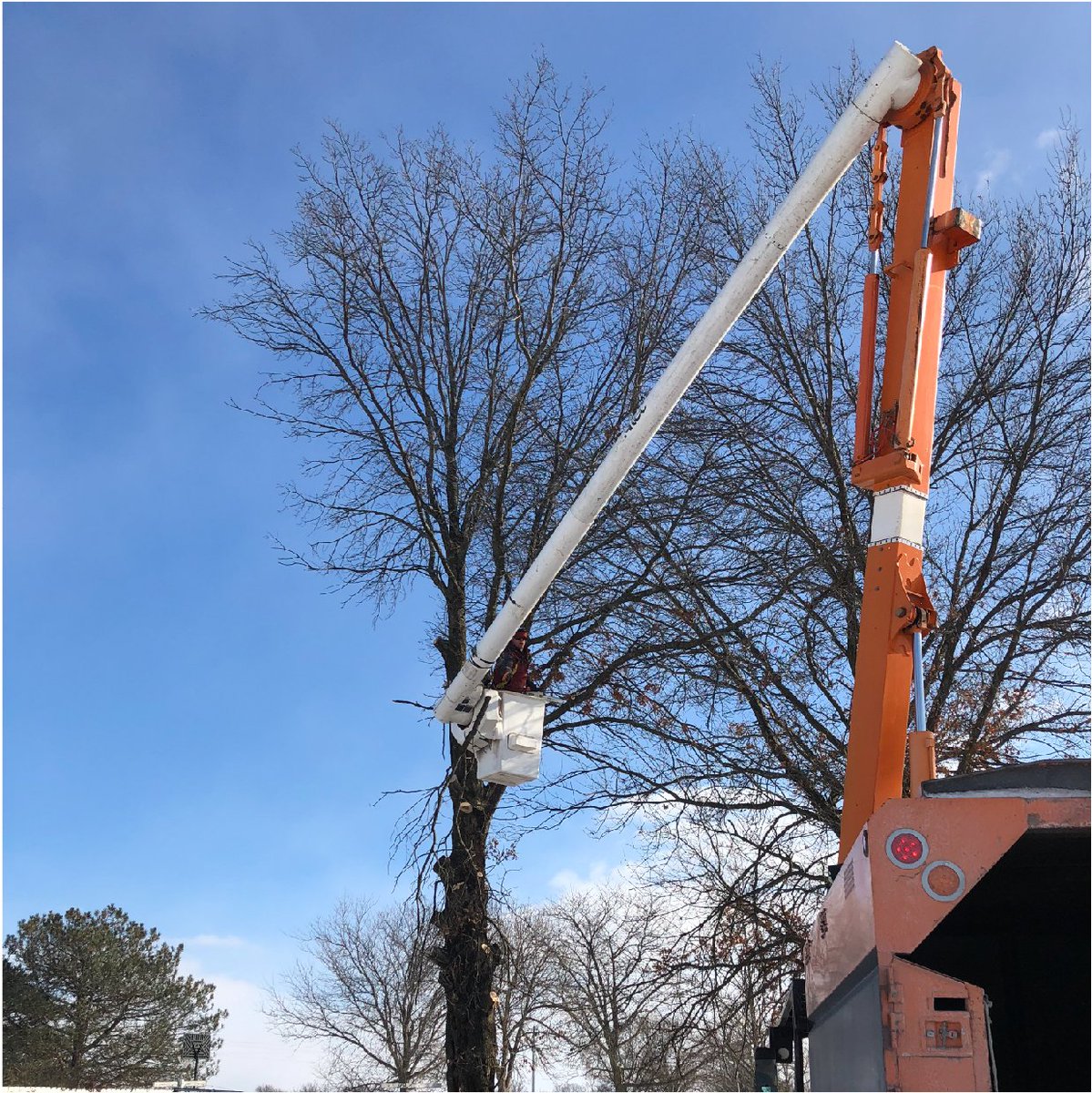 ResourceComo's tweet photo. ❄️Winter is here❄️ Did you know that #winter is a great time to have #tree work done? The hard ground actually benefits the tree when# trimming and protects your yard when cutting a tree down. Give us a call for a free estimate for all of your winter tree needs. https://t.co/gIygmEnCyx
