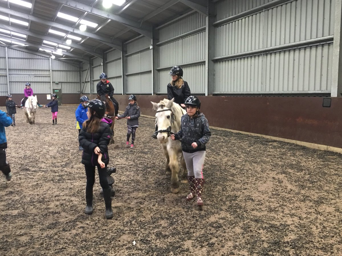 MissWrightIHS's tweet photo. Group 2 are loving horse riding! 🐴 #Merlota #LlangrannogIHS https://t.co/7DQyxd8VrF