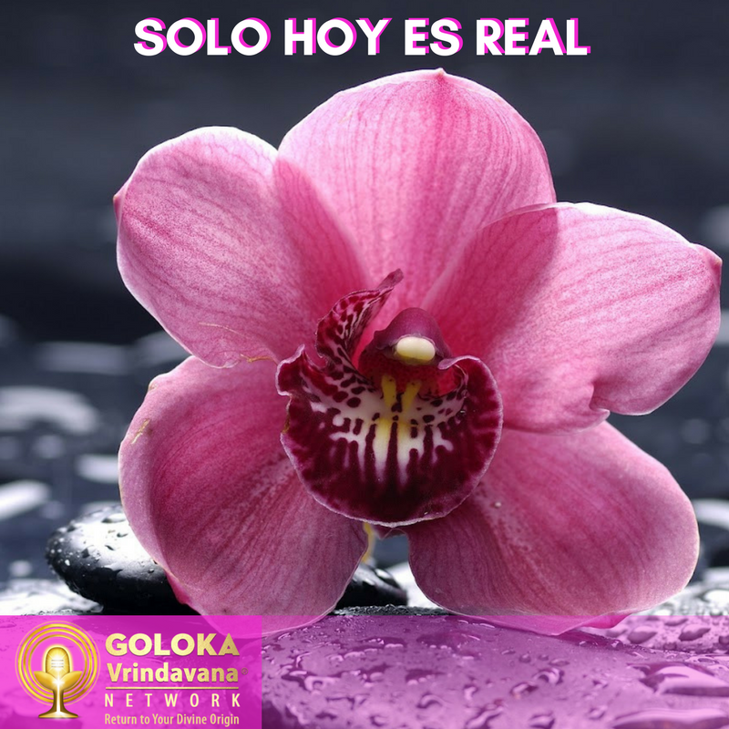 AnakinRama's tweet photo. #CreeyActúa https://t.co/V2Uot5Roj1