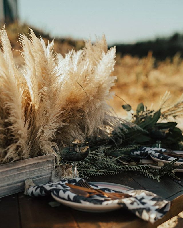 Shifting from flower vibes to straight up sunshine vibes to help us get through another crazy cold front and potential snow today here on the Outer Banks! 🌬️❄️ #thinkwarmthoughts 📷: <a href="/marybasnight/">Mary Basnight</a> &amp; @ericmurrill_lifestylephotos
💐: @flowergirlsobx
… ift.tt/2B9fEje