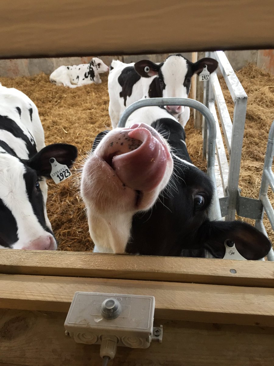 N & N Farm tweet media