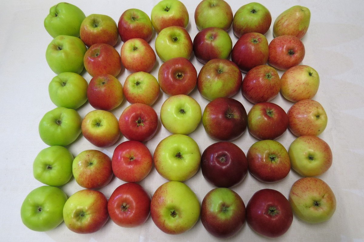 Izbraukuma tirdzniecība  2018. gadā ar āboliem ir sākusies.  Mūsu āboli būs Cēsu tirgū - 18.janvārī, Aizkraukles tirgū - 19.janvārī, Talsu tirgū - 20.janvārī.