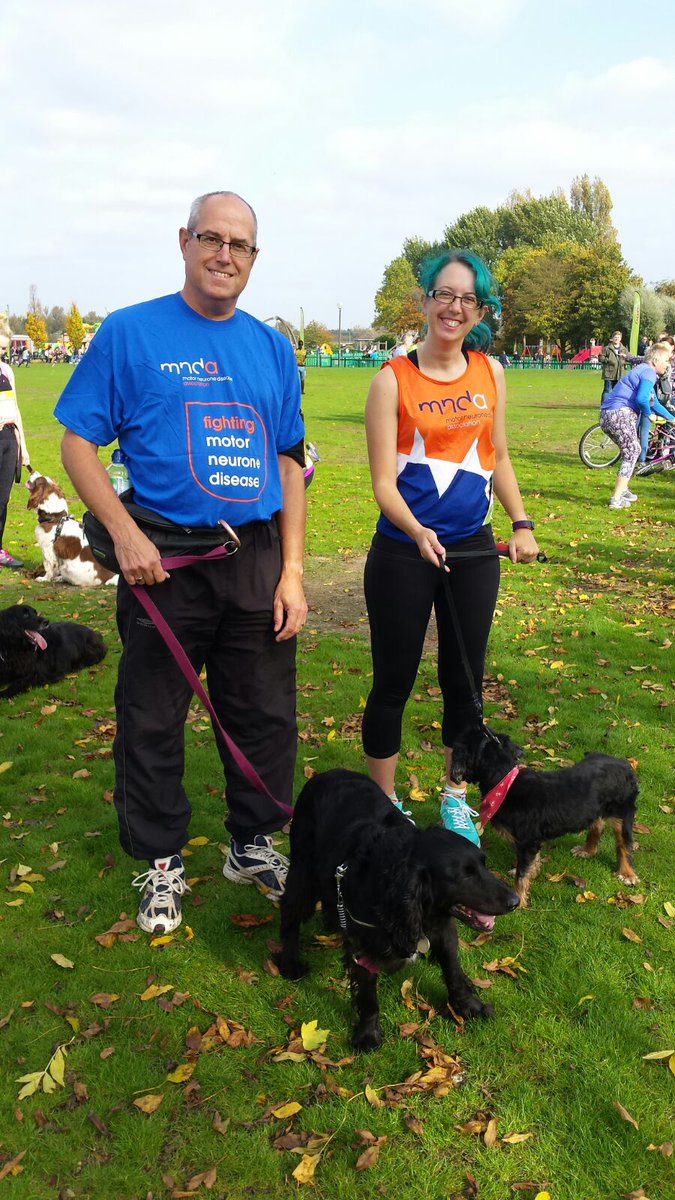 iScoutMichelle's tweet photo. @mndassoc Here's my hounds taking part in the Dog Jog last year! 🐶 https://t.co/61XUKnhqbi