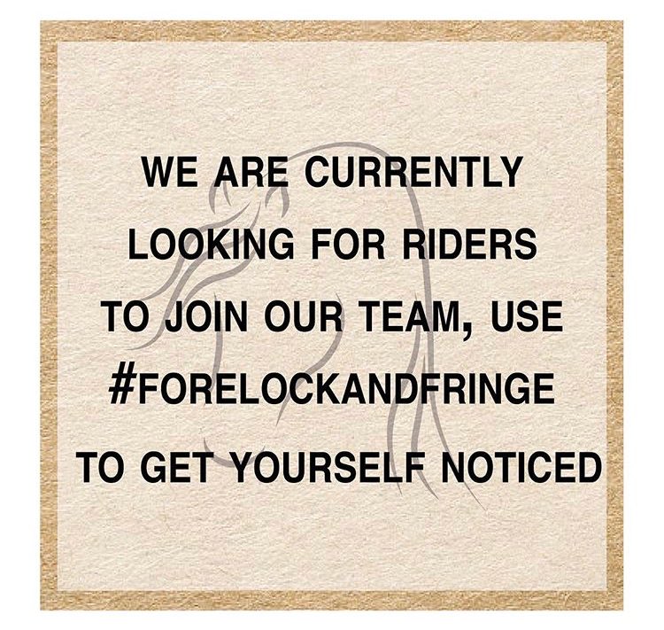 Forelock & Fringe tweet media