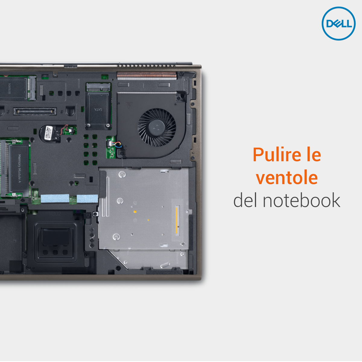 DellAiuta's tweet photo. Oltre ad una corretta #manutenzione #Software dei PC, é sempre bene eseguire una #pulizia dell'#hardware.

💨 Soprattutto le ventole e le prese d'aria per mantenere un corretto flusso di aria per il raffreddamento 

Altre soluzioni di supporto #ventole : https://t.co/erzM0yMVOC https://t.co/YeSRSW17Kl