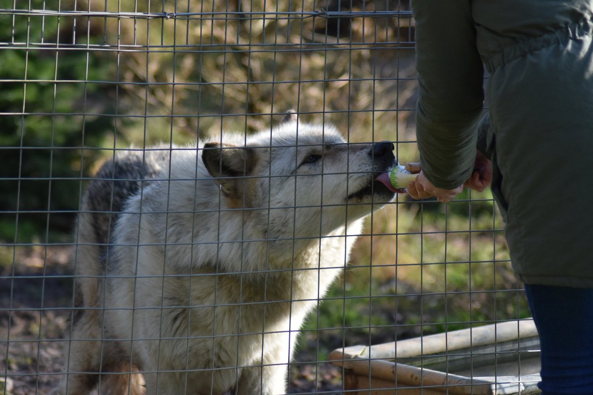 Julie_81@hotmail.co.uk tweet media