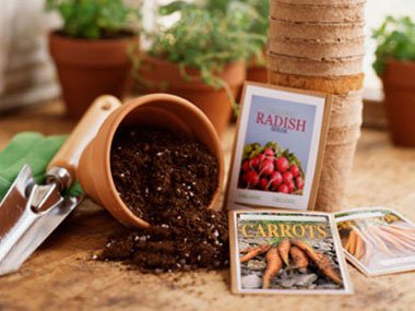 BowtreeHomes's tweet photo. Are you thinking about growing some vegetables, but are not quite sure where to start? Here is the 9 best vegetables that are perfect for growing inside the home, even on your windowsill! 
@readersdigest

https://t.co/swghx9Wqbr

#Food #Gardening #WednesdayWisdom #Vegetables https://t.co/hdbTvgvIQj