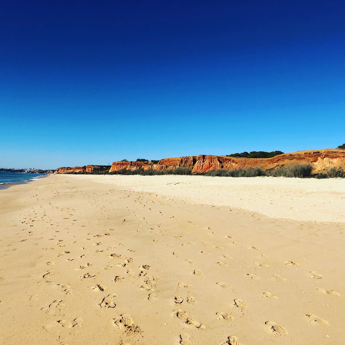 Out2Win Ryan & Sèafra tweet media